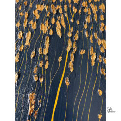 Alternative view of Kapky Tvůrce